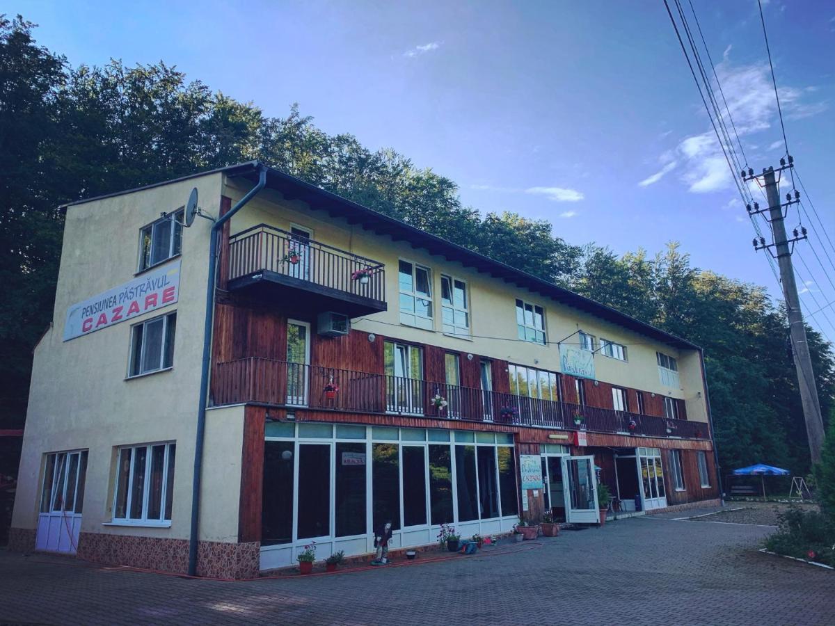 Pensiunea Pastravul Hotell Cîrţişoara Eksteriør bilde