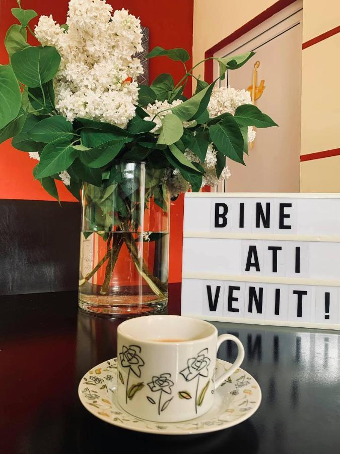 Pensiunea Pastravul Hotell Cîrţişoara Eksteriør bilde