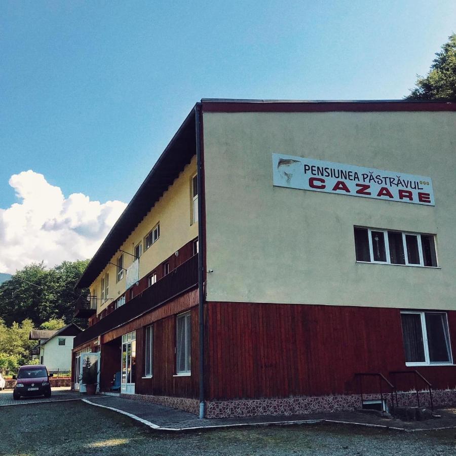 Pensiunea Pastravul Hotell Cîrţişoara Eksteriør bilde