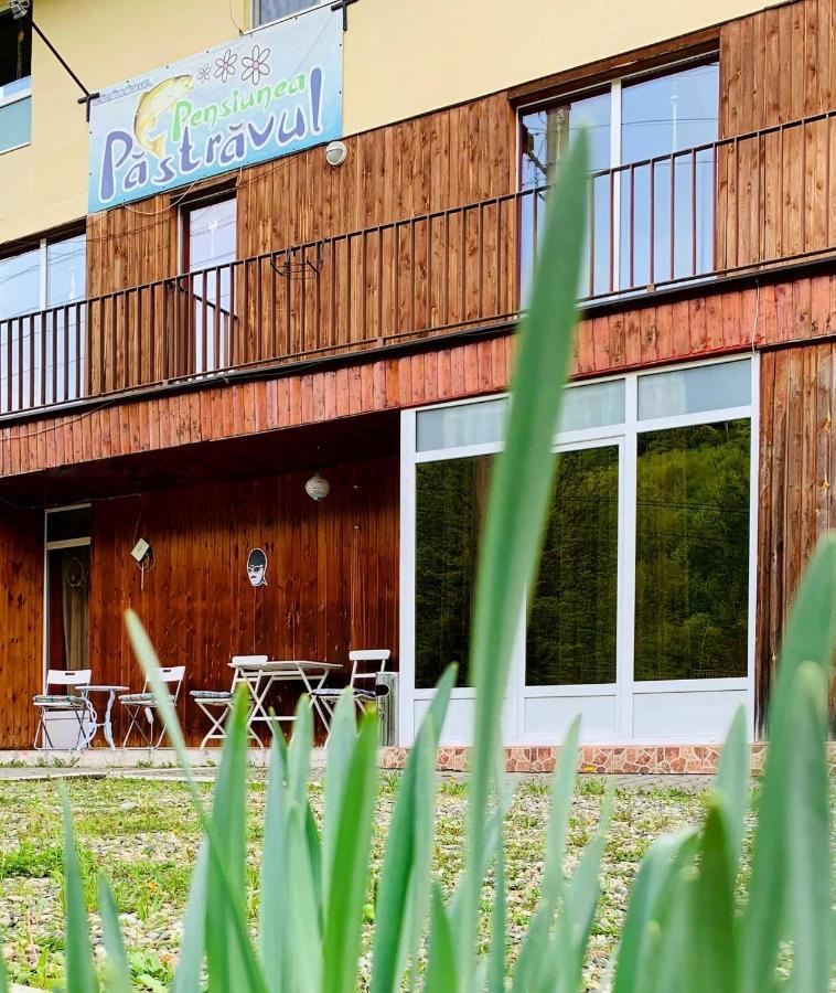 Pensiunea Pastravul Hotell Cîrţişoara Eksteriør bilde