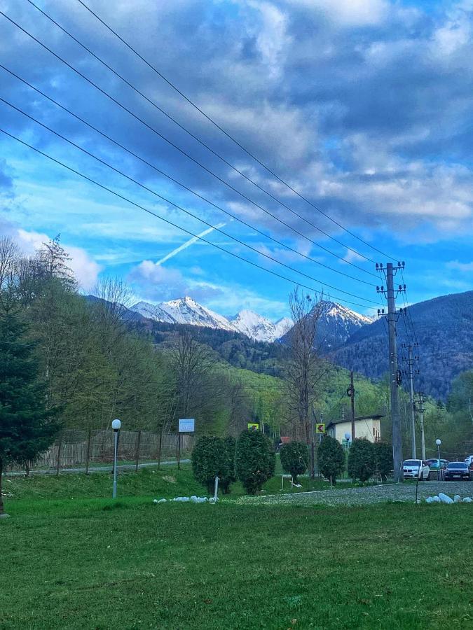 Pensiunea Pastravul Hotell Cîrţişoara Eksteriør bilde