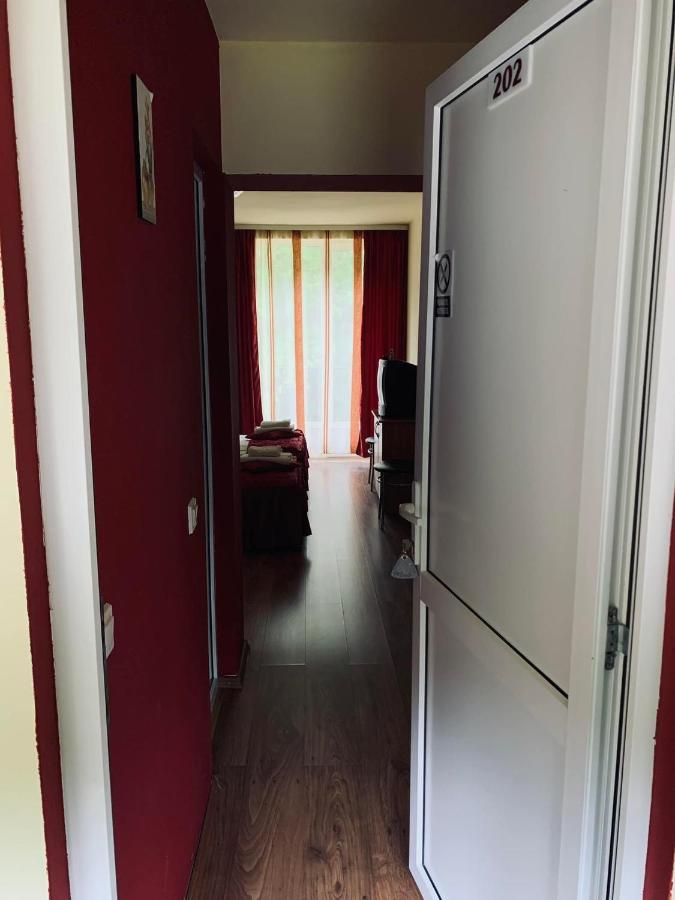 Pensiunea Pastravul Hotell Cîrţişoara Eksteriør bilde