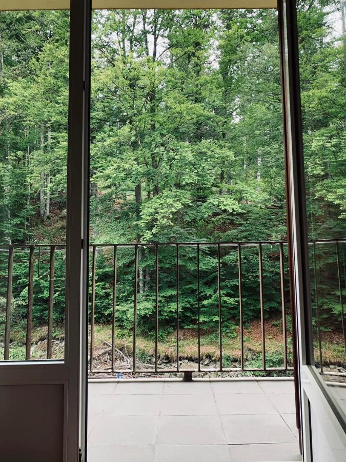 Pensiunea Pastravul Hotell Cîrţişoara Eksteriør bilde