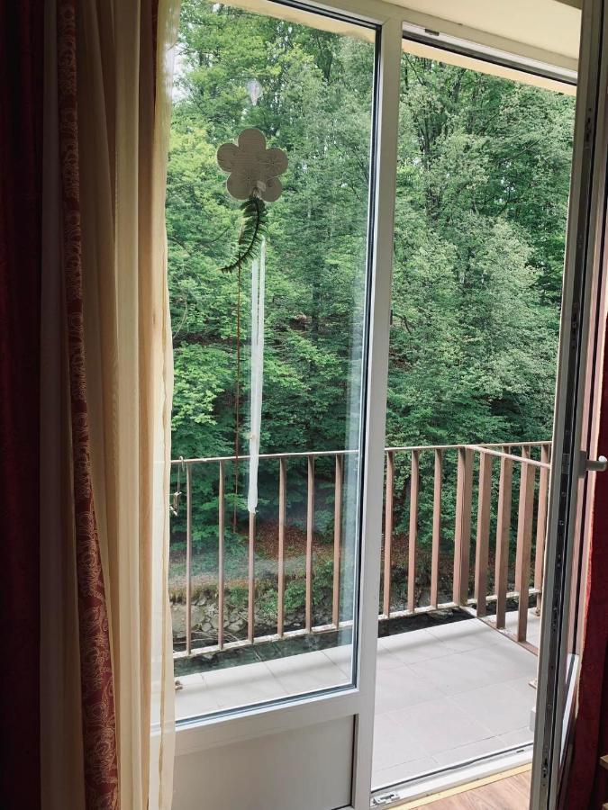 Pensiunea Pastravul Hotell Cîrţişoara Eksteriør bilde