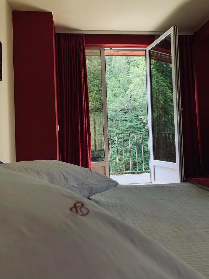 Pensiunea Pastravul Hotell Cîrţişoara Eksteriør bilde