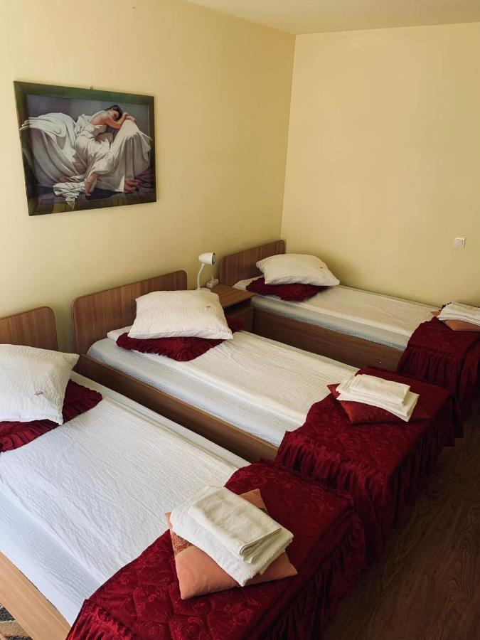 Pensiunea Pastravul Hotell Cîrţişoara Eksteriør bilde