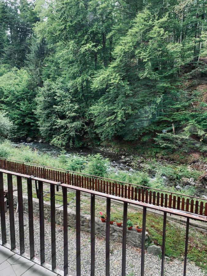 Pensiunea Pastravul Hotell Cîrţişoara Eksteriør bilde