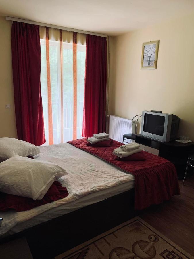 Pensiunea Pastravul Hotell Cîrţişoara Eksteriør bilde
