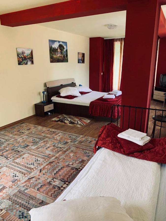 Pensiunea Pastravul Hotell Cîrţişoara Eksteriør bilde
