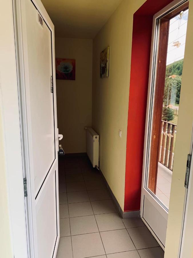 Pensiunea Pastravul Hotell Cîrţişoara Eksteriør bilde