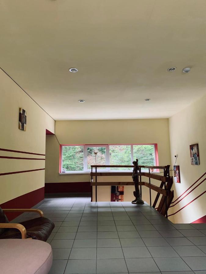 Pensiunea Pastravul Hotell Cîrţişoara Eksteriør bilde