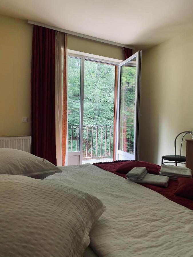 Pensiunea Pastravul Hotell Cîrţişoara Eksteriør bilde