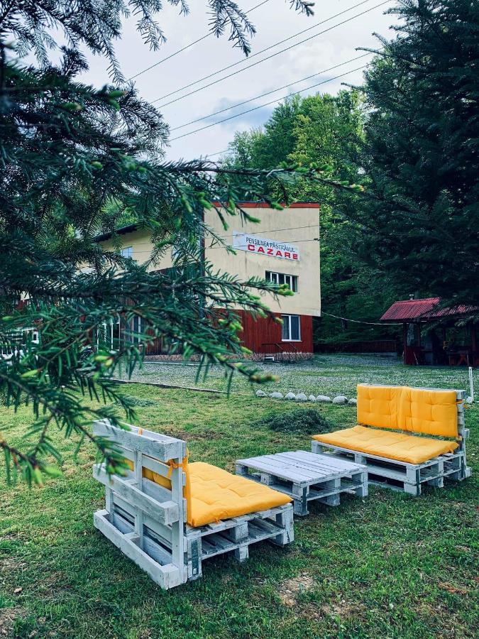 Pensiunea Pastravul Hotell Cîrţişoara Eksteriør bilde