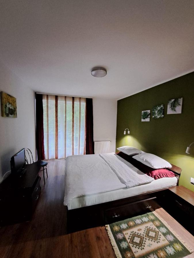 Pensiunea Pastravul Hotell Cîrţişoara Eksteriør bilde